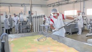 Processo de produção da muçarela