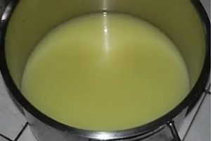 Soro do leite em pote para uso culinário e saúde Soro do leite