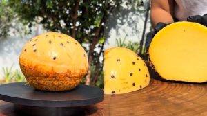 leite queijo passionata