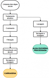 fluxograma de produção de carragena e alga Euchema processada.