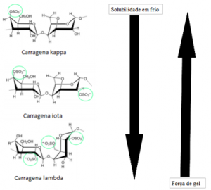 Tipos de carragena 