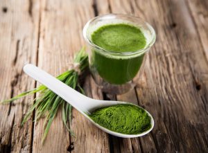 Folhas verdes utilizadas para extração de clorofila