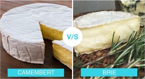 queijo brie e camembert lado a lado queijo brie e camembert