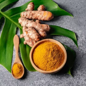 Raiz de cúrcuma utilizada para produção de corante natural