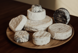 queijo brie diferentes tipos de queijos mofados